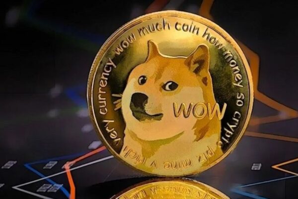 Dogecoin's Remarkable Surge: Large Transaction Volume Spikes 41% as Network Activity Intensifies