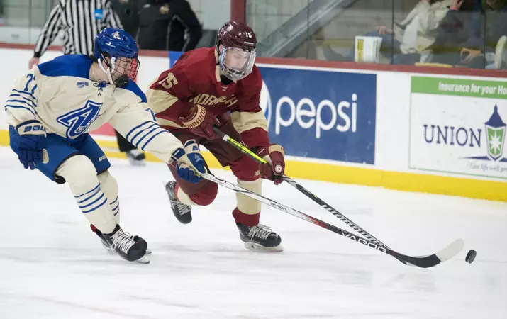 Men's Ice Hockey: Northfield Savings Bank Holiday Tournament Preview